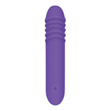 Evolved VIBRATORS Purple Evolved The G-Rave -  15.1 cm USB Rechargeable Vibrator 844477018430