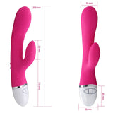 Lovetoy Adult Toys Pink Dreamer Rechargeable Vibrator Pink 6970260904995